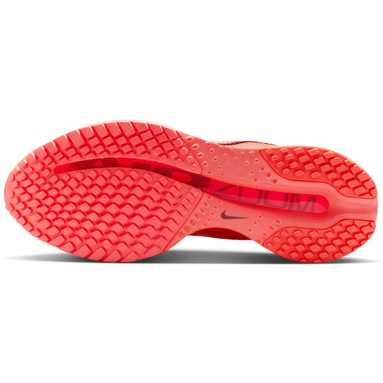 Nike Pegasus Premium Damen