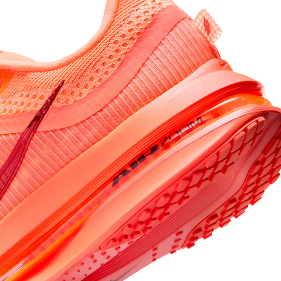 Nike Pegasus Premium Damen