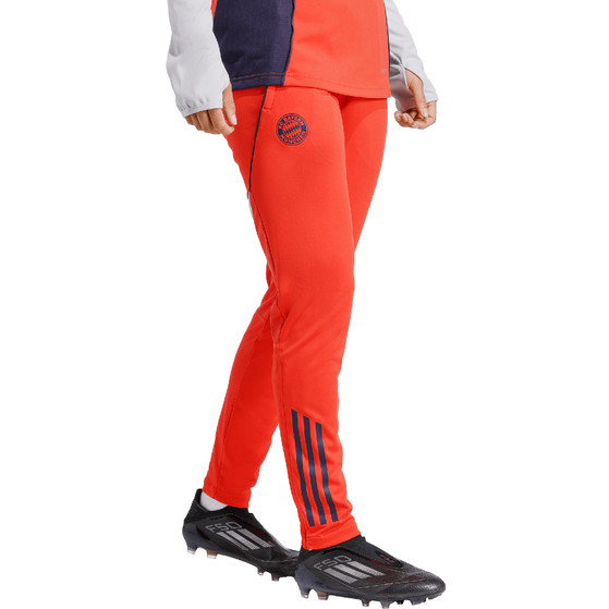 adidas Bayern München Training Pant Dames