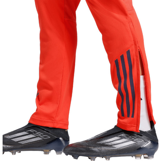 adidas Bayern München Training Pant Dames