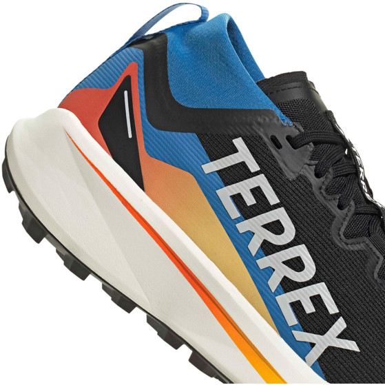 adidas Terrex Agravic GTX Herren