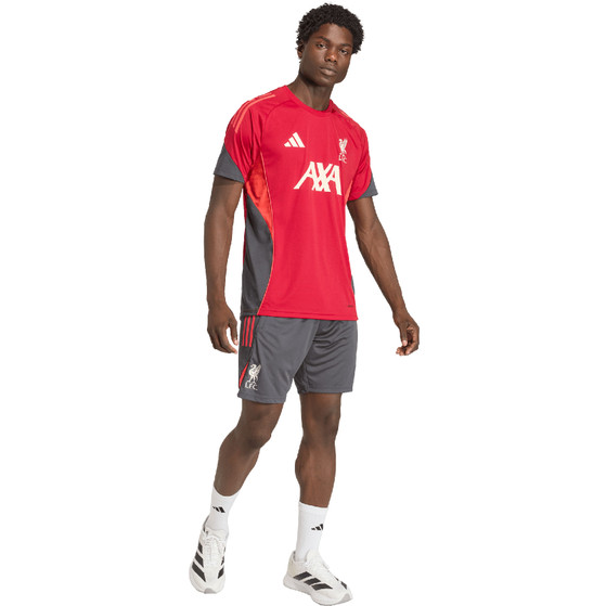 adidas Liverpool Training Shorts 2025/2026