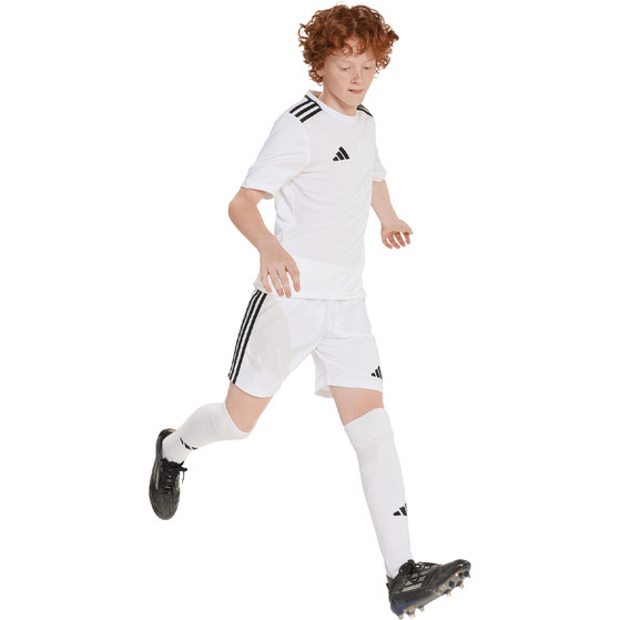 adidas Tastigo 25 Training Short Kids