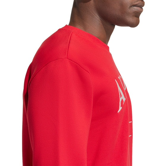 adidas Heritage Graphic Crew