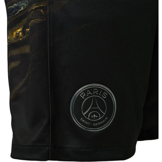 Nike Paris Saint-Germain Pre-Match Träningsset 2025/2026