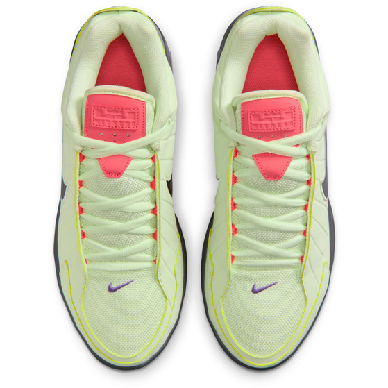 Nike LeBron Witness IX