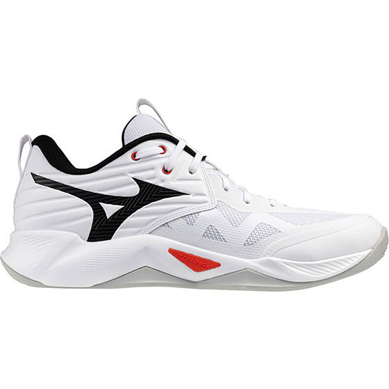 Mizuno Wave Momentum Pro