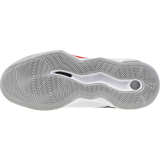 Mizuno Wave Momentum Pro