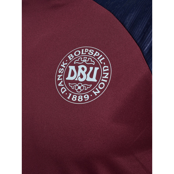 Hummel Dänemark Pro Training Shirt WM 2026