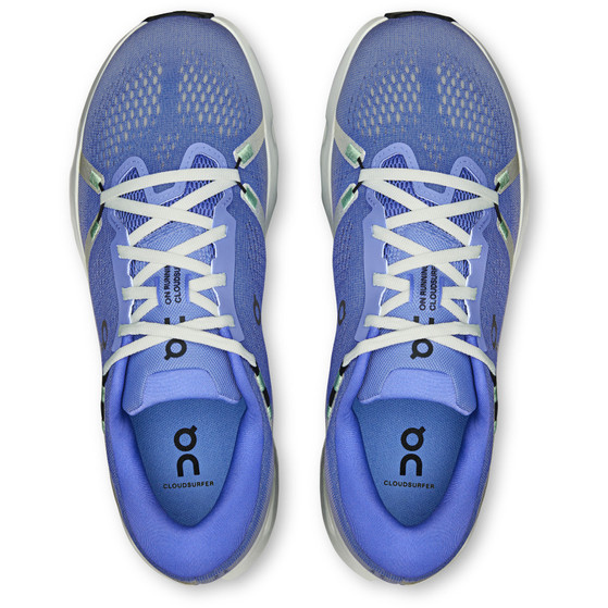 On Cloudsurfer 2 Herr