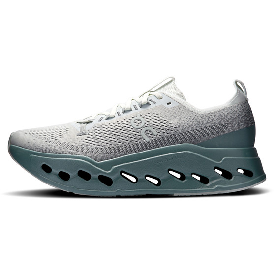 On Cloudsurfer Max Herr