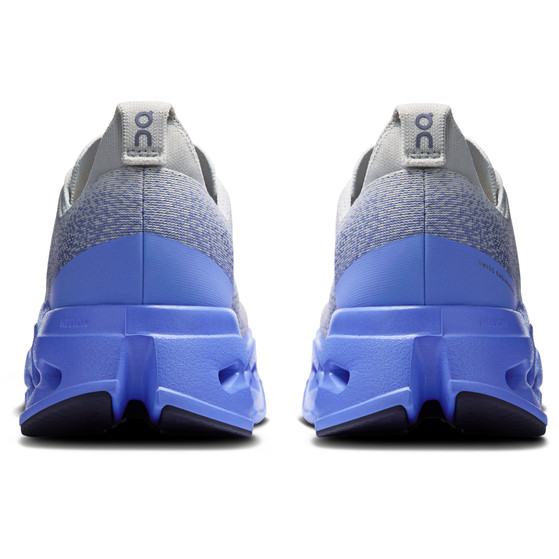 On Cloudsurfer Max Herr