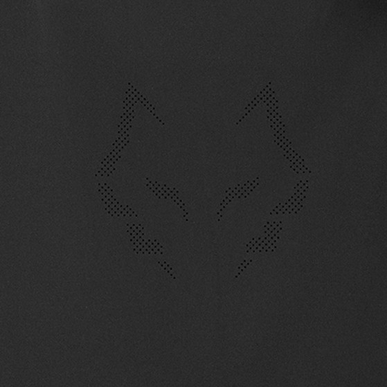 Babolat Lebron Tech Jacket