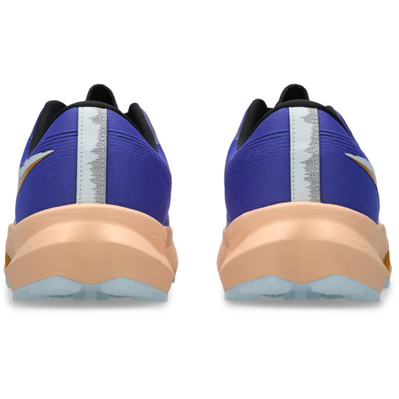 ASICS Fuji Lite 6 Men's