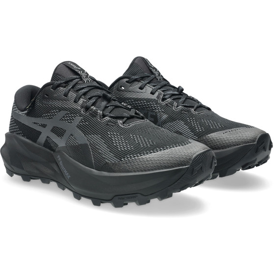 ASICS GEL-Trabuco 14 GTX Herren