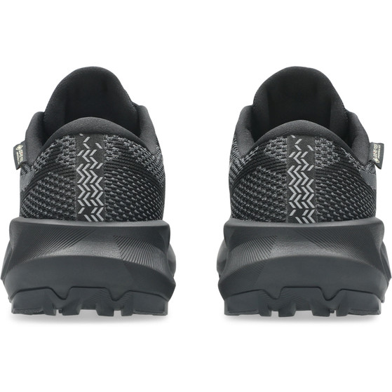 ASICS GEL-Trabuco 14 GTX Damen