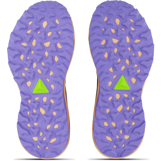 ASICS Trabuco Terra 3 Dames