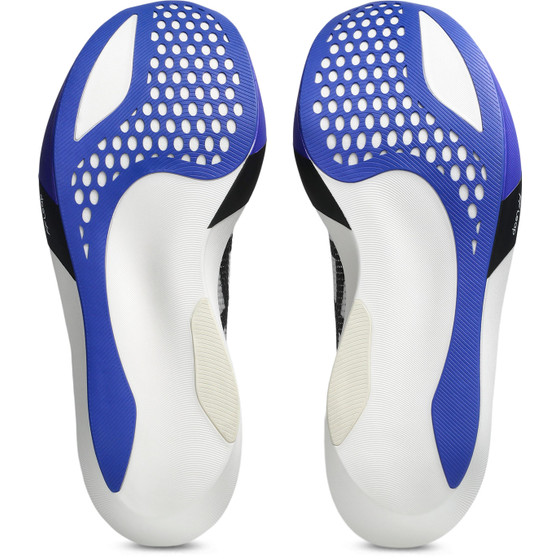 ASICS Metaspeed Sky Tokyo