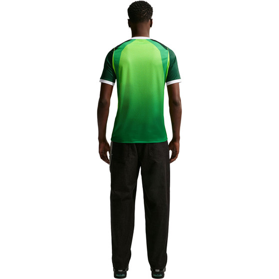 Nike Nigeria Thuis Shirt 2026/2028
