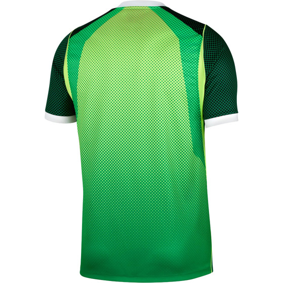 Nike Nigeria Thuis Shirt 2026/2028