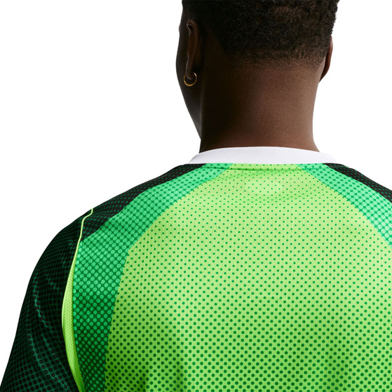 Nike Nigeria Thuis Shirt 2026/2028