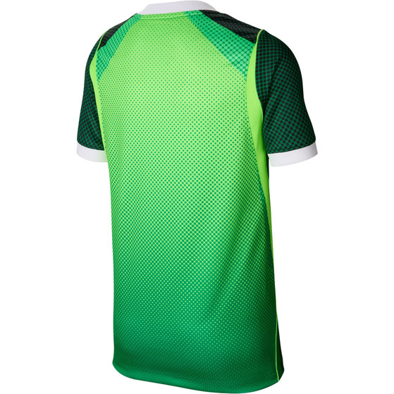 Nike Nigeria Thuis Shirt Kids 2026/2028