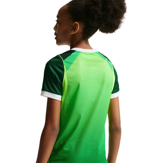 Nike Nigeria Thuis Shirt Kids 2026/2028