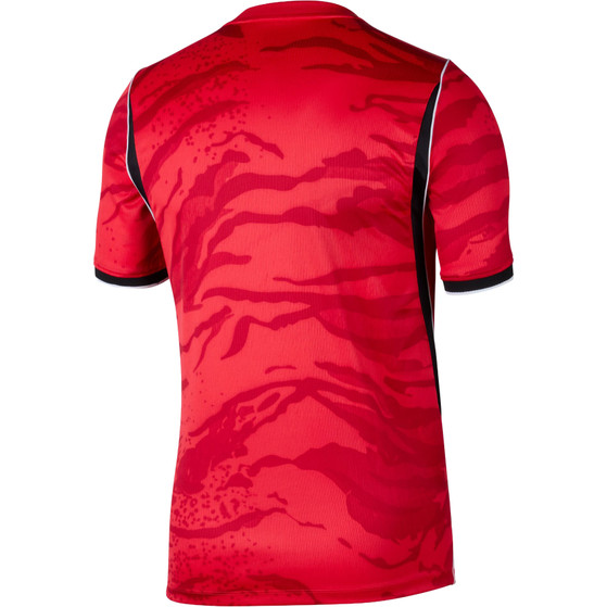 Nike Zuid-Korea Thuis Shirt WK 2026