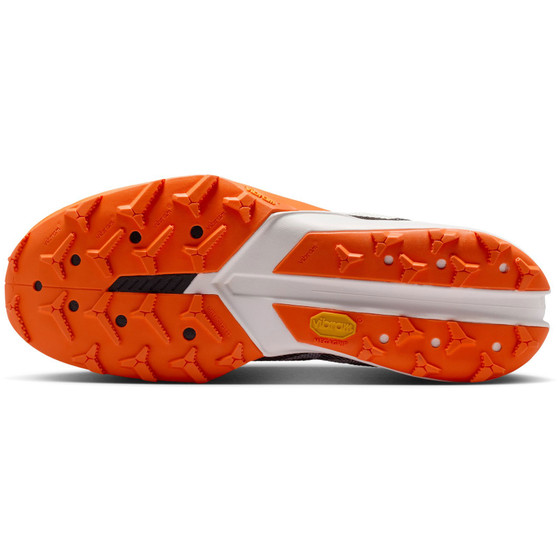 Nike Terra Kiger 10 Herr
