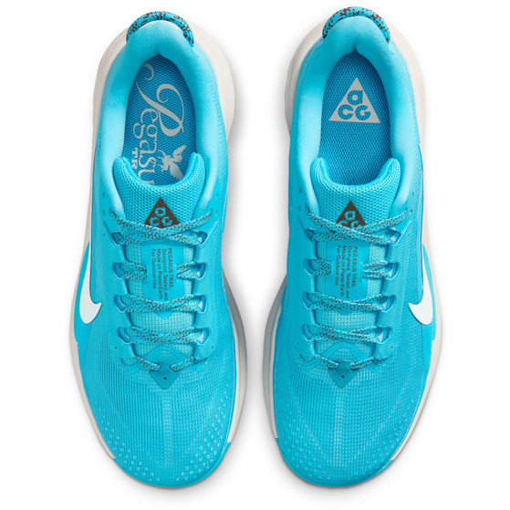 Nike ACG Pegasus Trail Heren