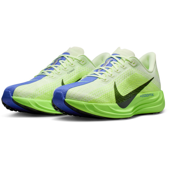 Nike Pegasus Plus Heren