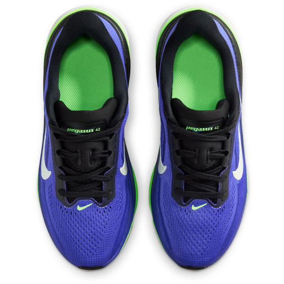 Nike Pegasus 42 Kids