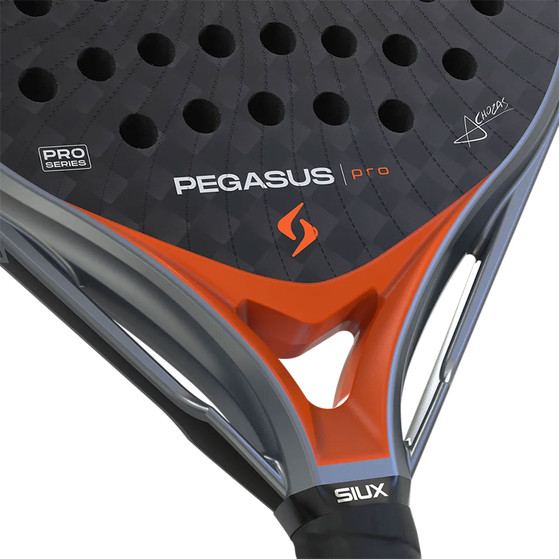 Siux Pegasus Pro 2026