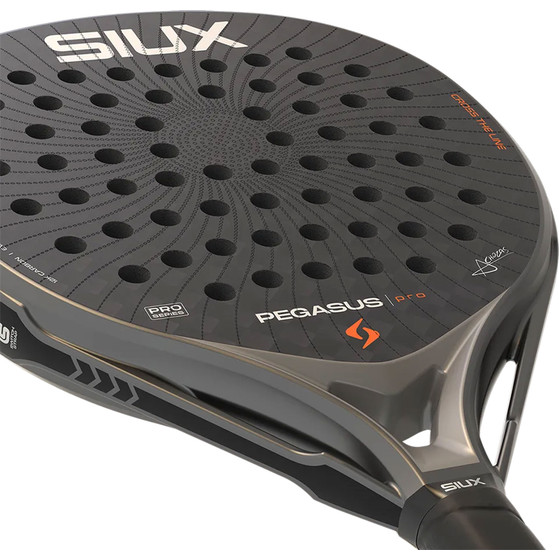 Siux Pegasus Pro 2026