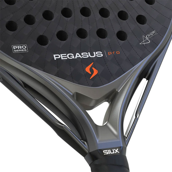Siux Pegasus Pro 2026