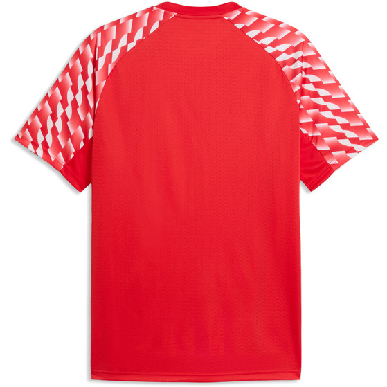 Puma LIGA26 Training Shirt