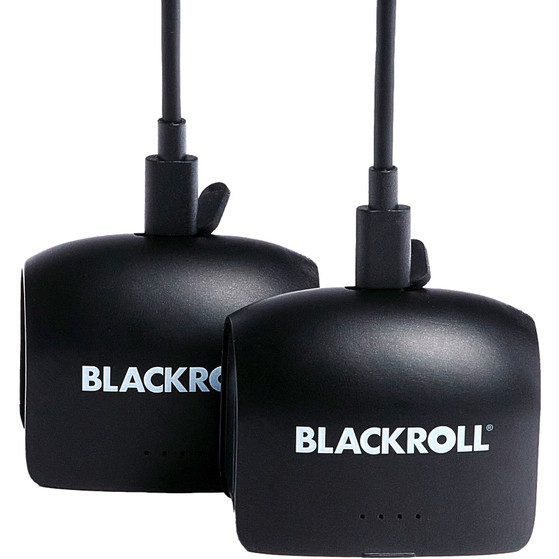 BLACKROLL Spare batteries Pack 2.0