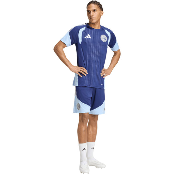 adidas Ajax Short Training 26/27
