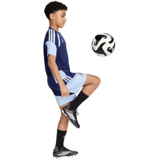 adidas Ajax Trainingsshorts Kinder 26/27