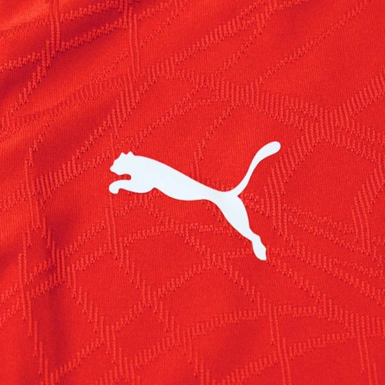 Puma Maillot Maroc Training Jr Coupe du Monde 26