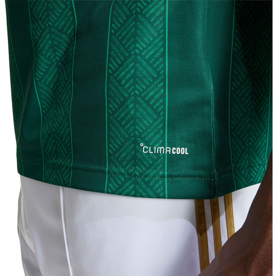 adidas Zuid-Afrika Uit Shirt