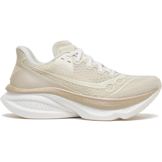 Saucony Endorphin Azura Damen
