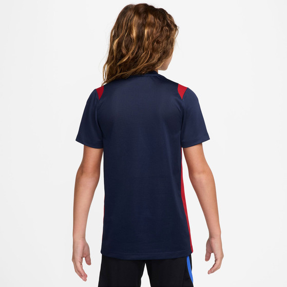Nike Paris Saint-Germain Academy Pro Top Kinder