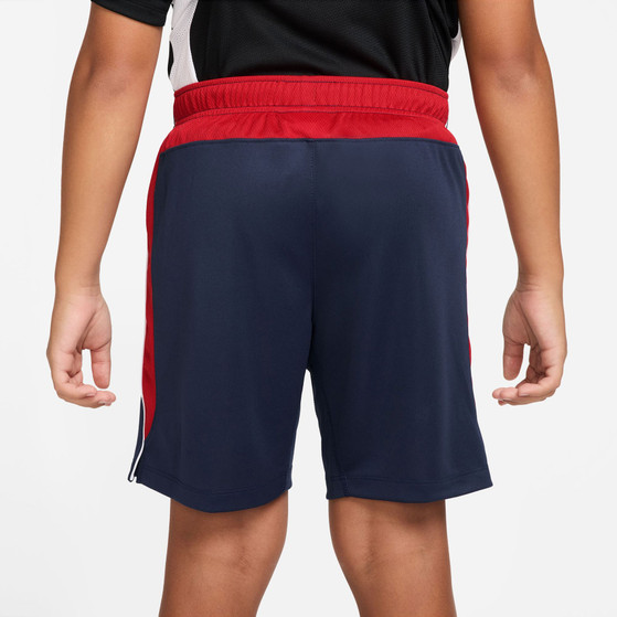 Nike Paris Saint-Germain Academy Pro Shorts Kinder