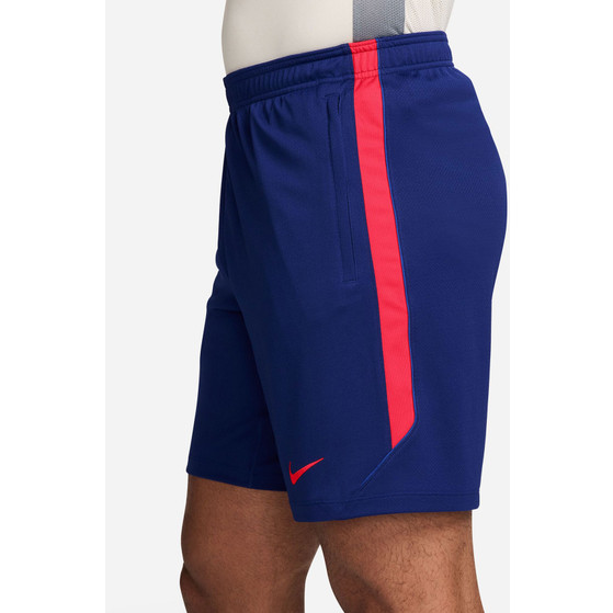 Nike Paris Saint-Germain Strike Shorts 26/27