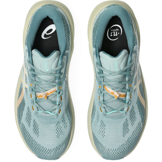 ASICS GEL-Trabuco 14 Heren