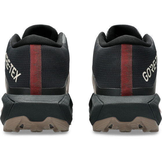 ASICS GEL-Trabuco MT GTX Heren