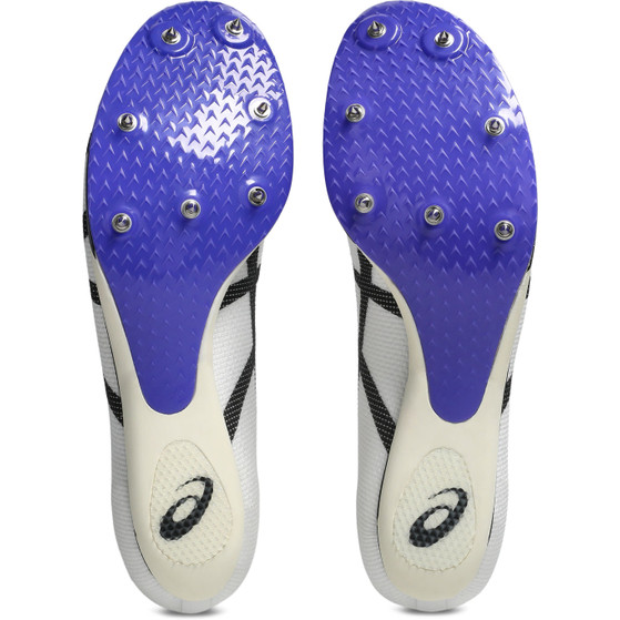 ASICS Metaspeed SP 2