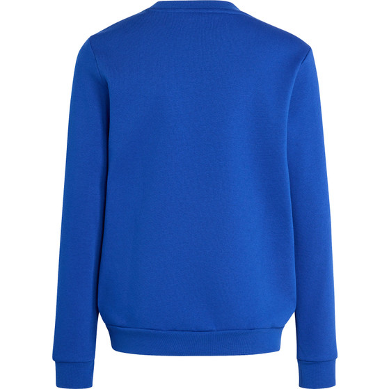 adidas Entrada 26 Sweat Top Kids