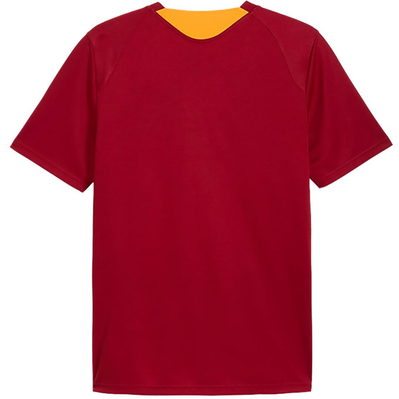 Puma Galatasaray Trainingsshirt 26/27